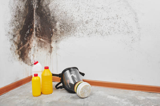 Best HVAC Mold Remediation in Hilliard, OH