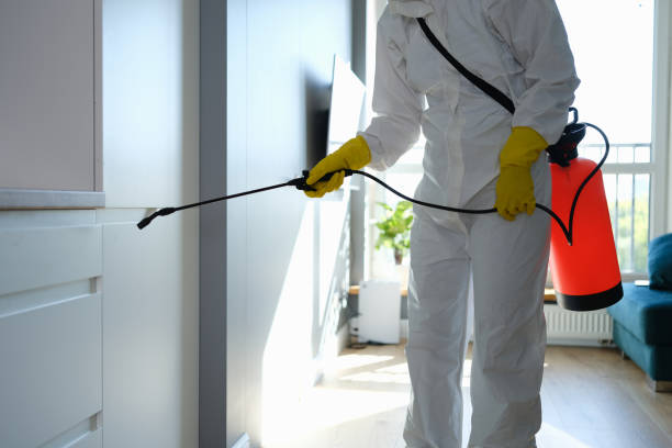 Best Mold Remediation for Specific Building Types in Hilliard, OH