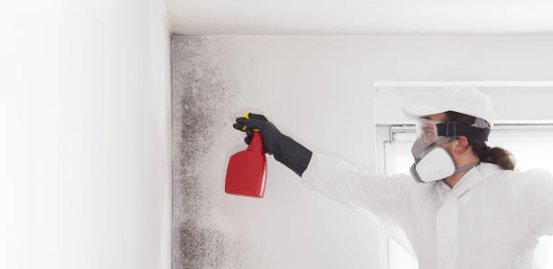 Best Industrial Mold Remediation in Hilliard, OH