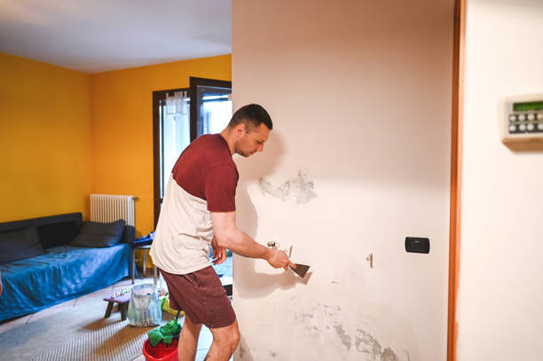  Hilliard, OH Mold Removal Pros
