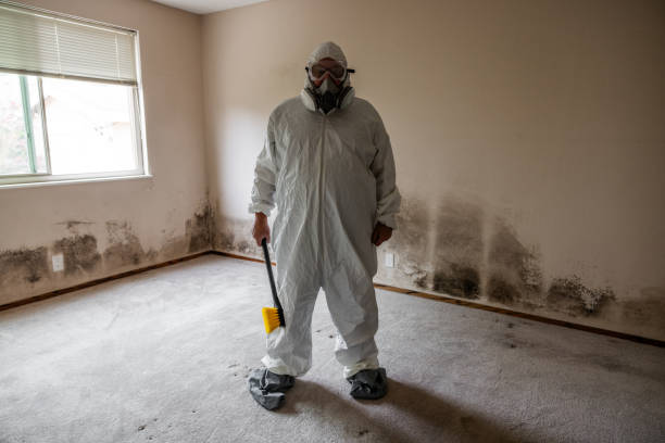 Best Bathroom Mold Remediation in Hilliard, OH
